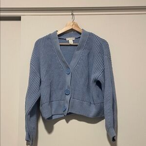 H&M Blue Button-Up Cardigan